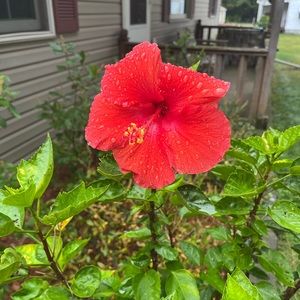 Meet your Posher, Logan